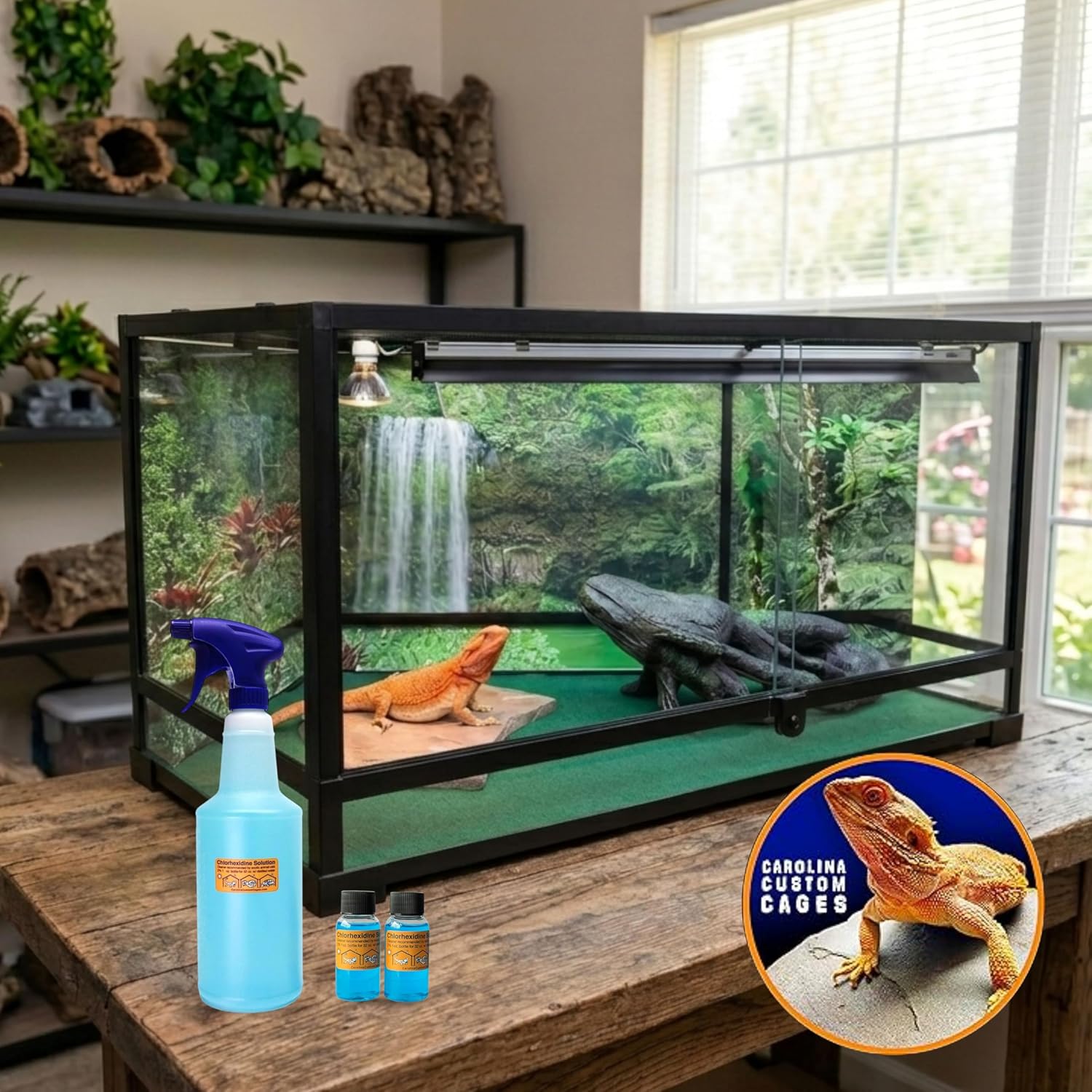Authentic USA imported reptile sanitation solution set