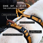 Side profile of Made To Roam Y-shaped dog harness