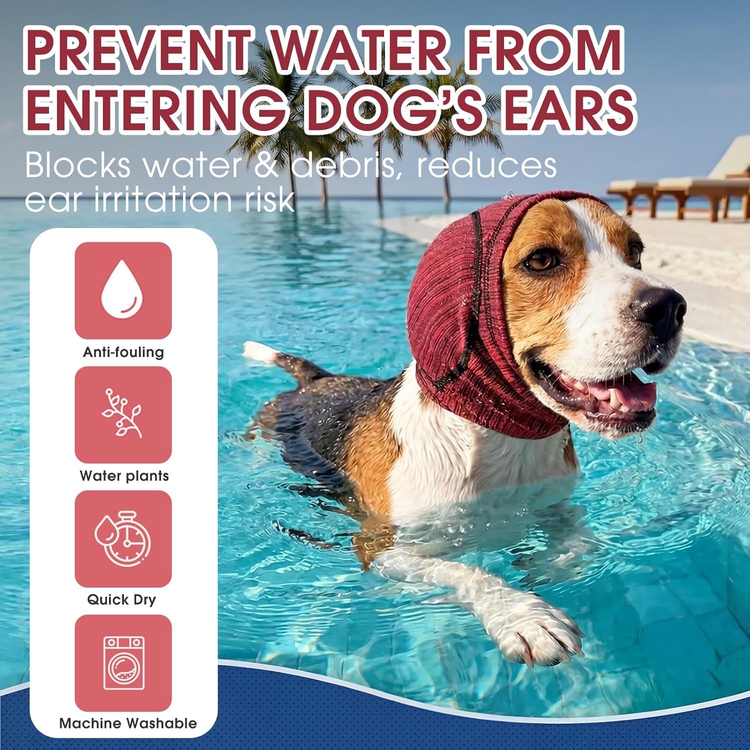 Small dog wearing Nanaki ear cover during bath time