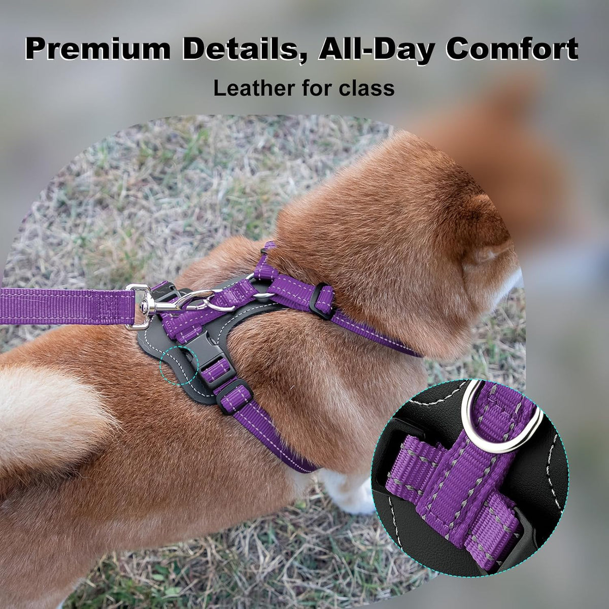 Plutus Pet purple dog training harness with dual metal D rings and leather accents back view