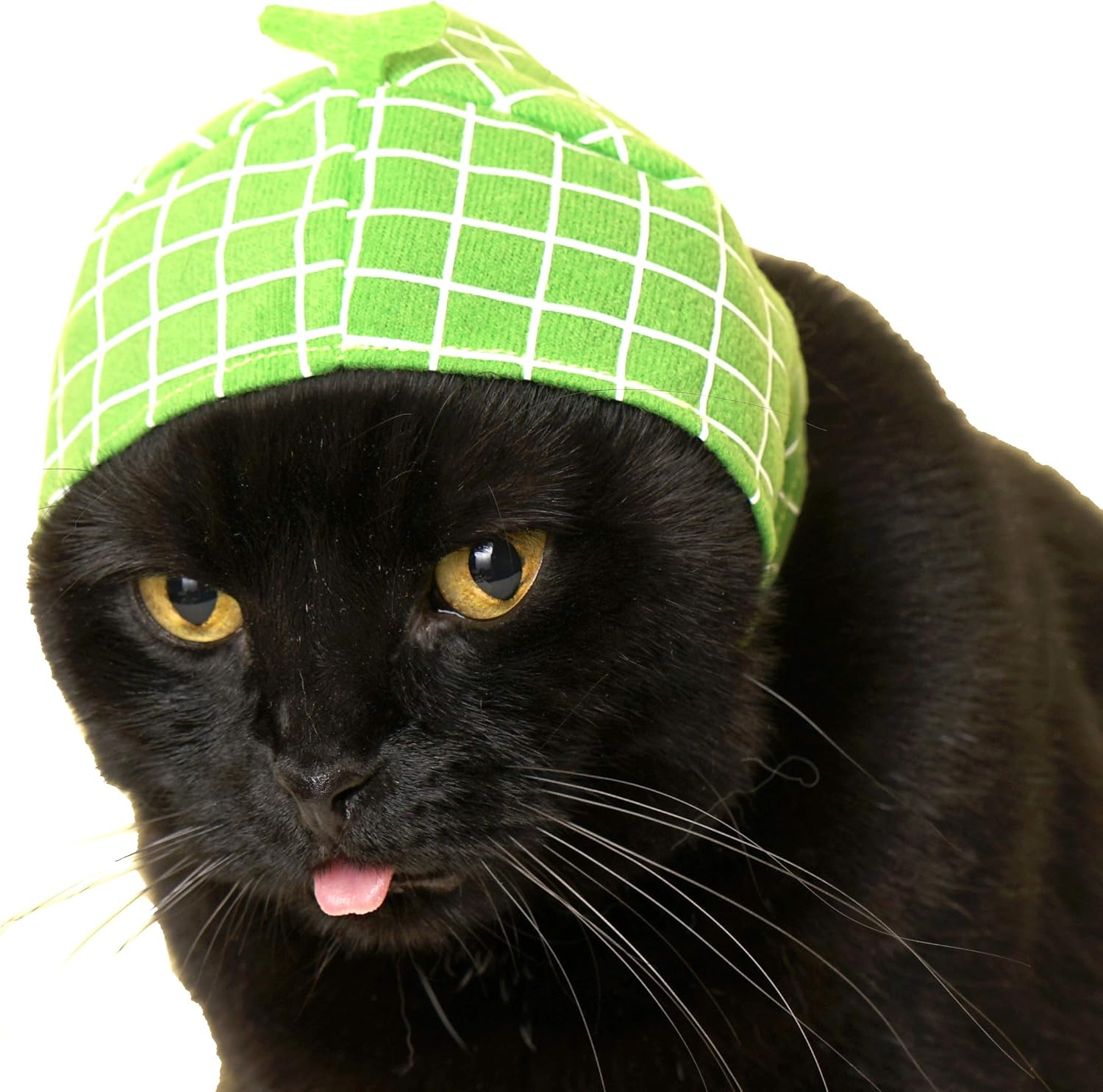Collection of Kitan Club blind box cat caps