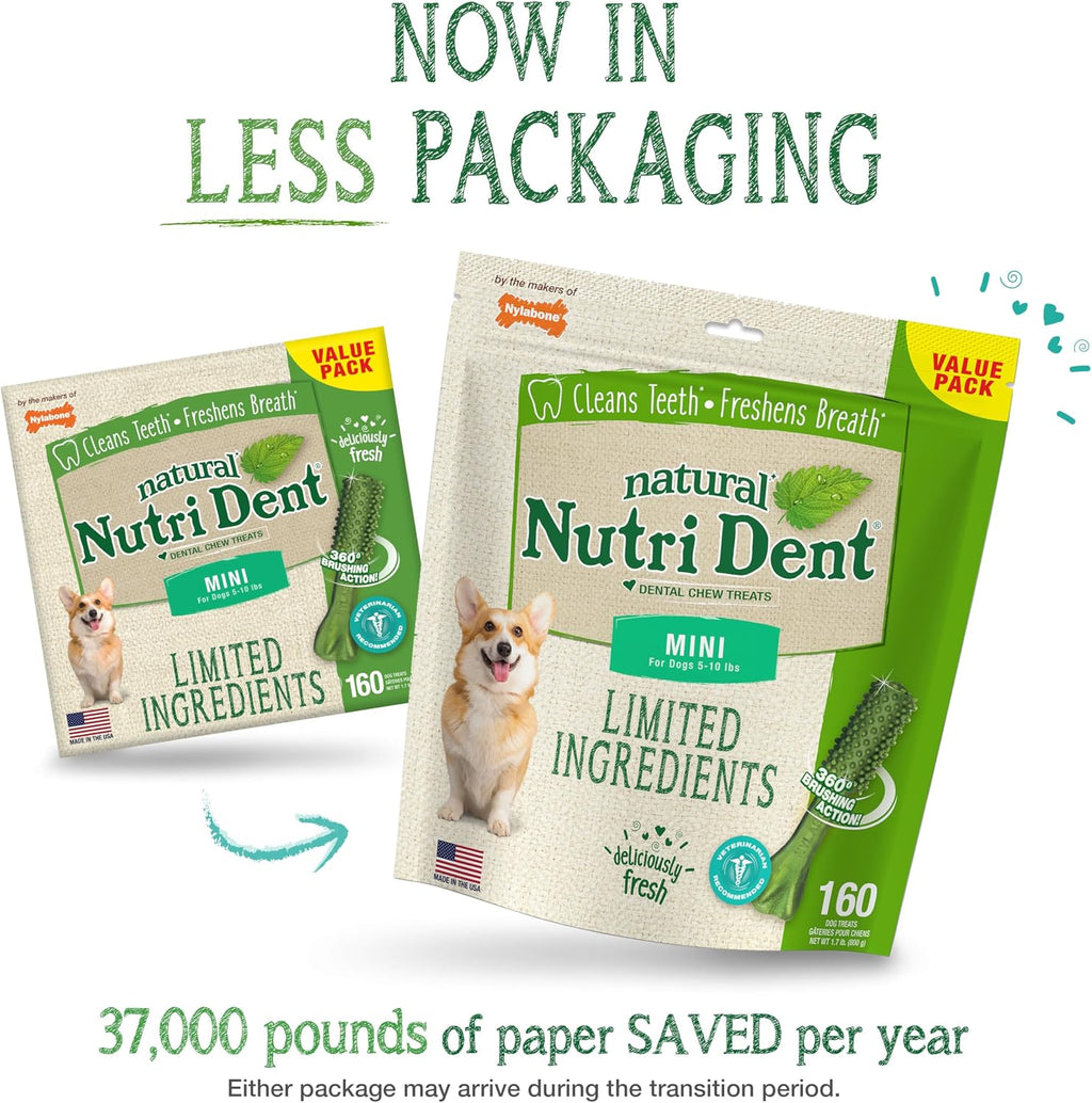 Nylabone Nutri Dent fresh breath mini dog treats close up displaying 360 degree scrubbing nubs