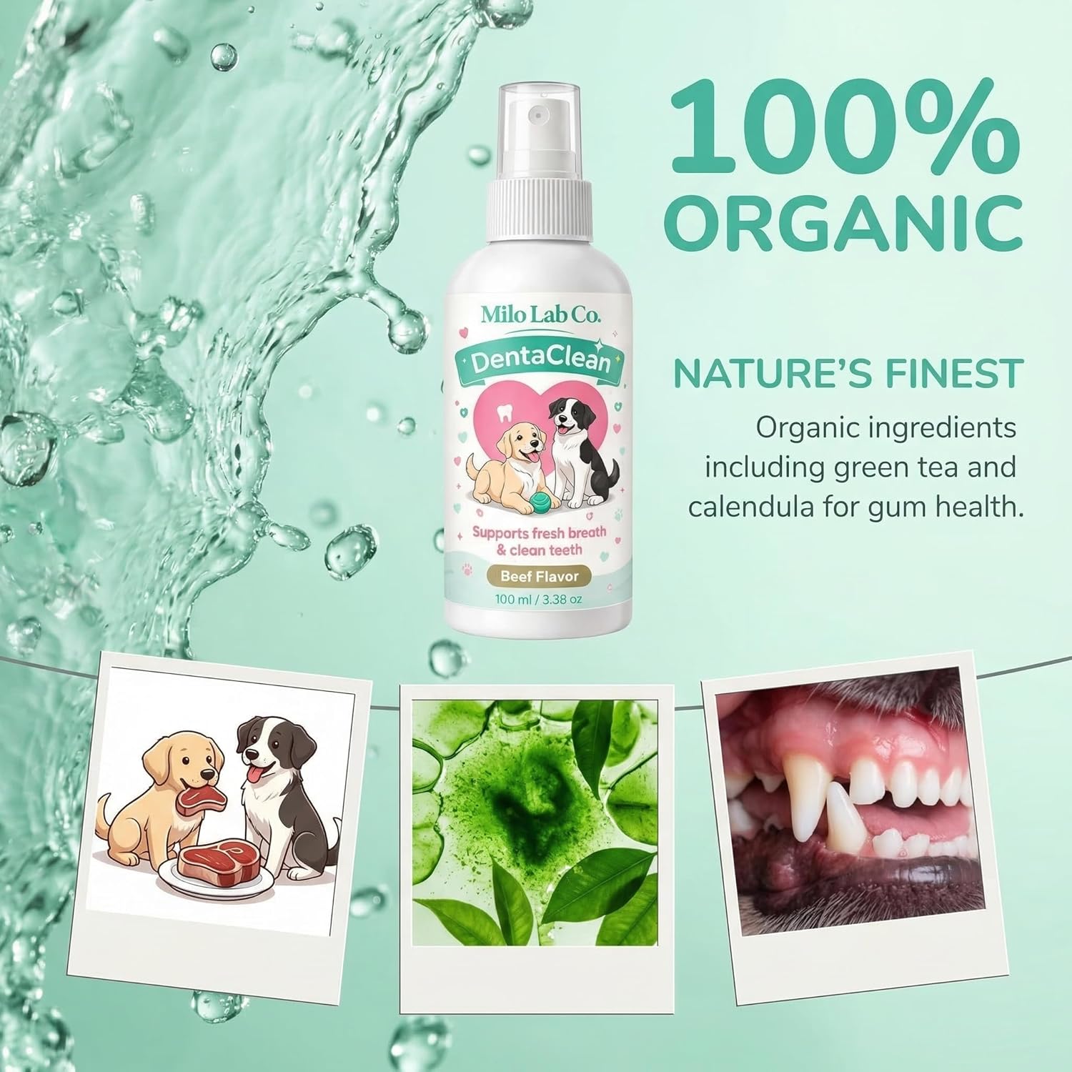 Pet dental spray by Milo Lab Co highlighting no brush formula