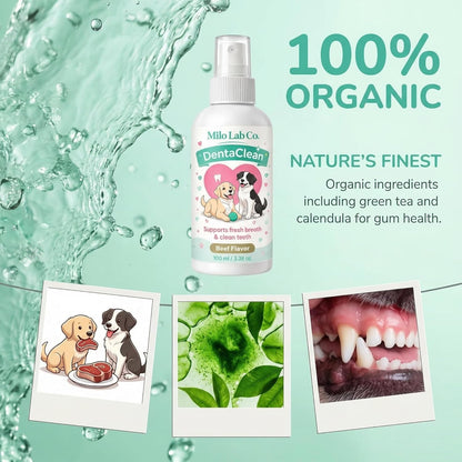 Pet dental spray by Milo Lab Co highlighting no brush formula