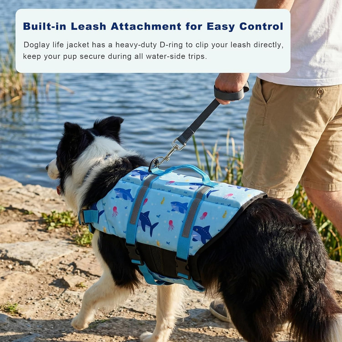 Doglay Dog Life Jacket, Dog Life Vest for Swimming Boating, Adjustable Puppy Life Jacket with Reflective Stripes, Superior Buoyancy Pet Swimming Vest for Small Medium and Large Dogs - Image 12