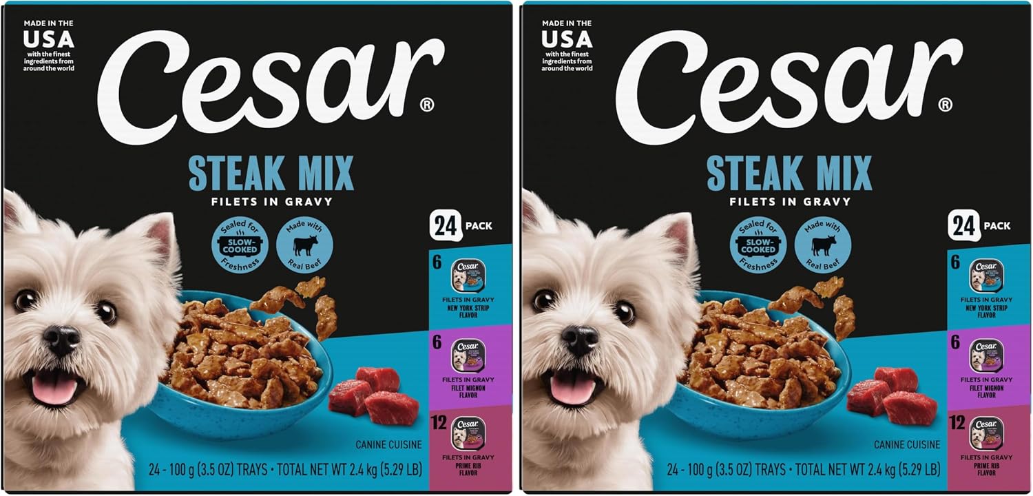 Cesar Filets in Gravy Adult Wet Dog Food Variety Pack, Filet Mignon, New York Strip, and Prime Rib Flavors, 3.5 oz. Easy Peel Dog Food Tray, 24 Count (Pack of 1) - Image 12