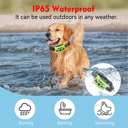 BXQ bark collar with smart detection technology