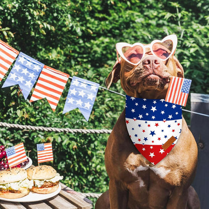 Two pieces of USA themed dog and cat costumes laid flat on a neutral background.