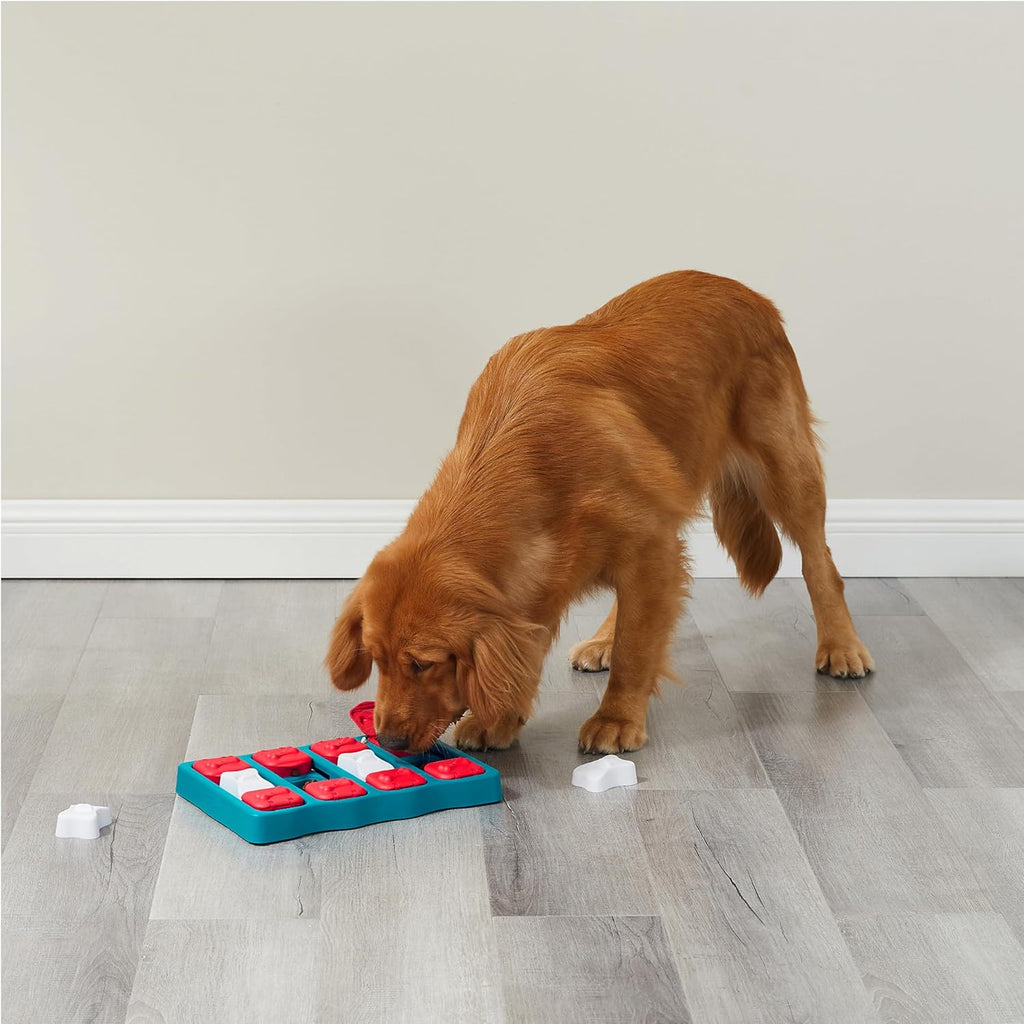 Durable non toxic intermediate level pet puzzle game by Outward Hound