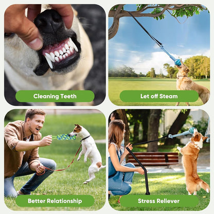 Close up view of the durable eco friendly chew resistant materials of the VibeVerve dog tether set.
