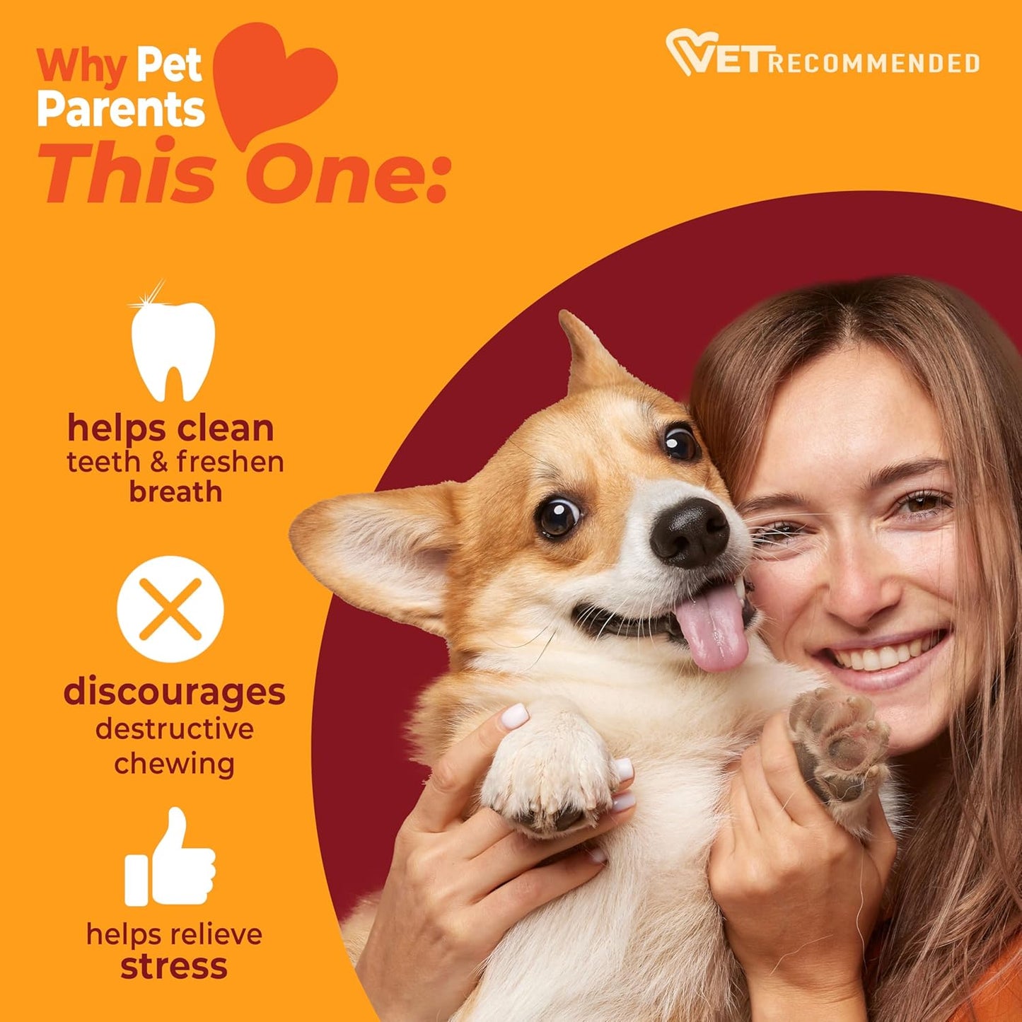 Authentic USA imported Nylabone chew toy packaging
