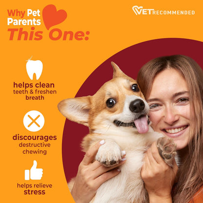 Authentic USA imported Nylabone chew toy packaging
