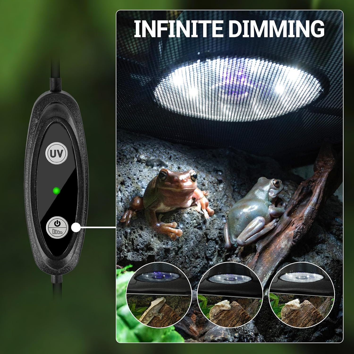 Six watt LED reptile light fixture mounted over a desert reptile tank.