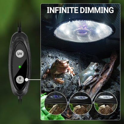 Six watt LED reptile light fixture mounted over a desert reptile tank.