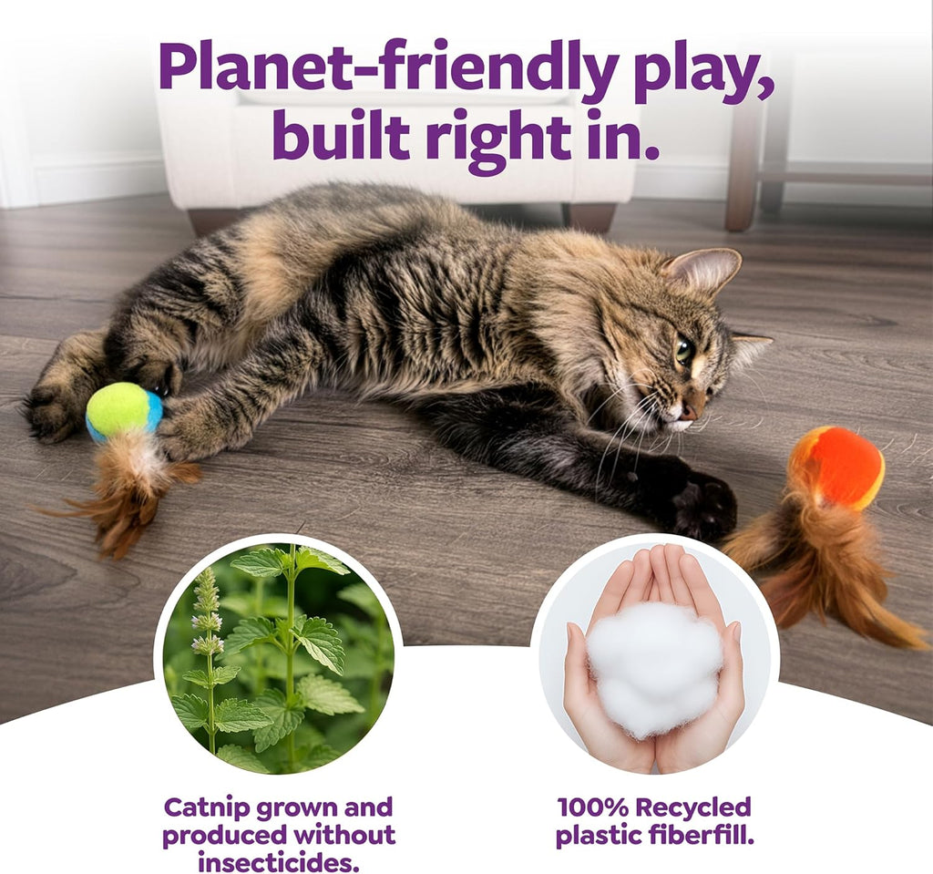 SmartyKat interactive cat toys for exercise