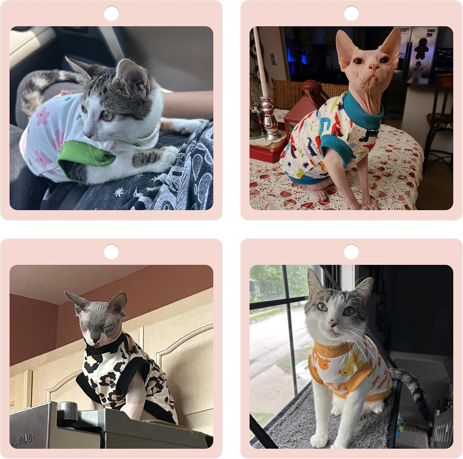 Detailed view of turtleneck collar on cat sweater