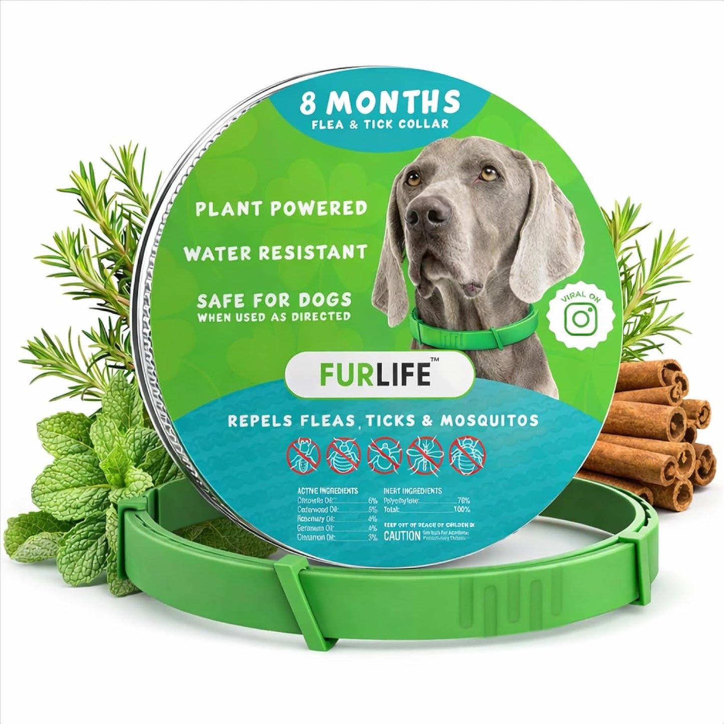 FurLife flea and tick collar for dogs front view green color