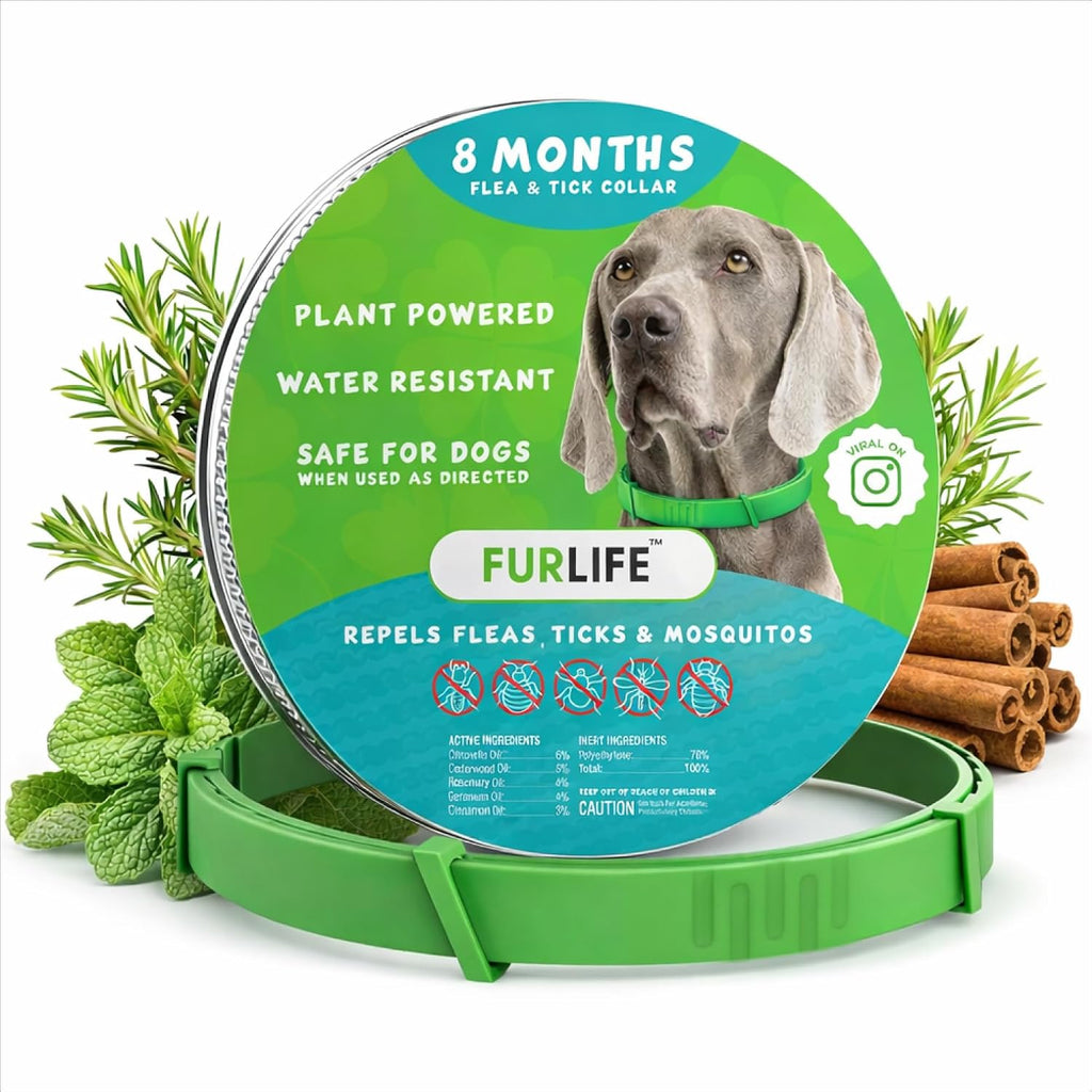 FurLife Flea and Tick Collar for Dogs - Waterproof Red Dog Collar, Pet Supplies for Tick and Flea Prevention for Dogs, Safe for All Breeds - Image 13