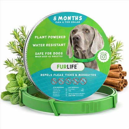 FurLife Flea and Tick Collar for Dogs - Waterproof Red Dog Collar, Pet Supplies for Tick and Flea Prevention for Dogs, Safe for All Breeds - Image 13