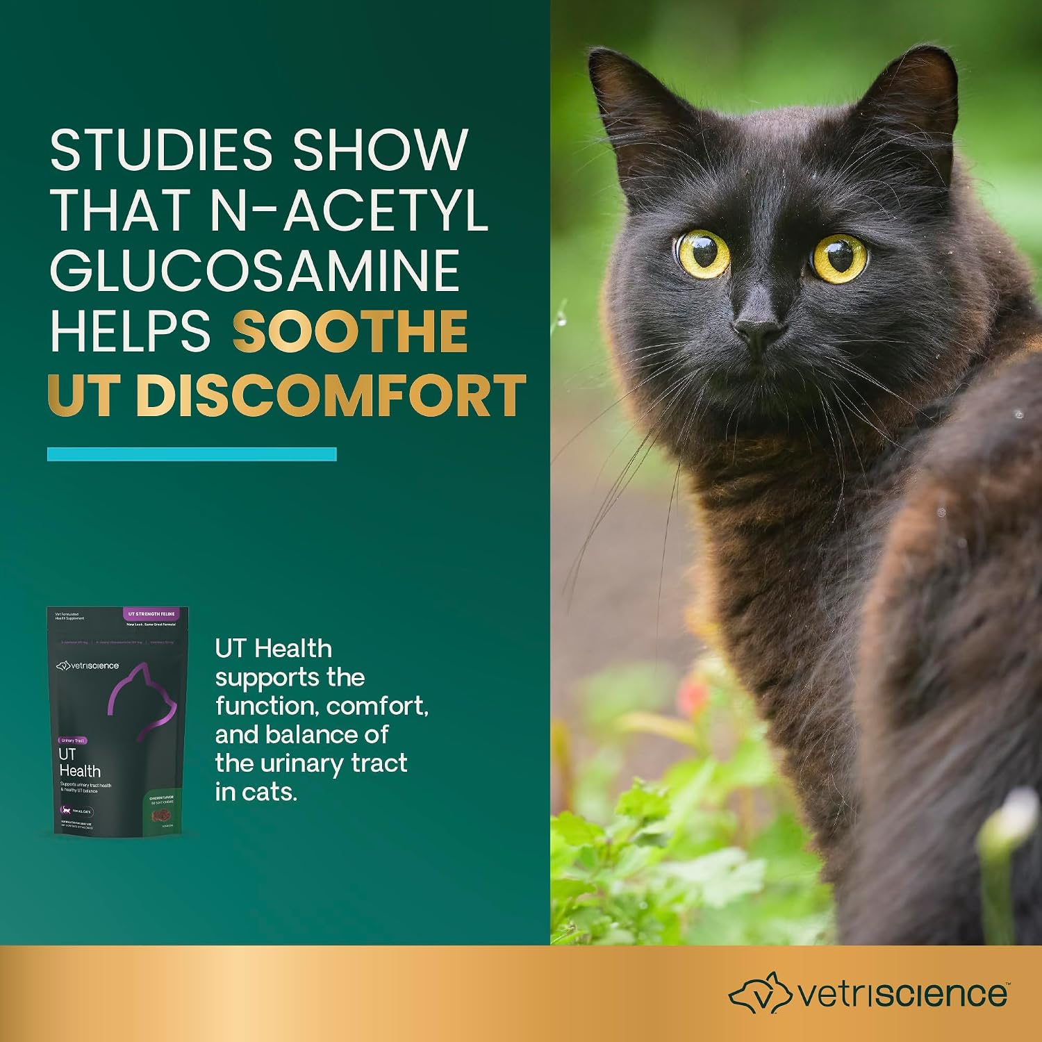 Sixty count bag of imported VetriScience UT strength feline supplement