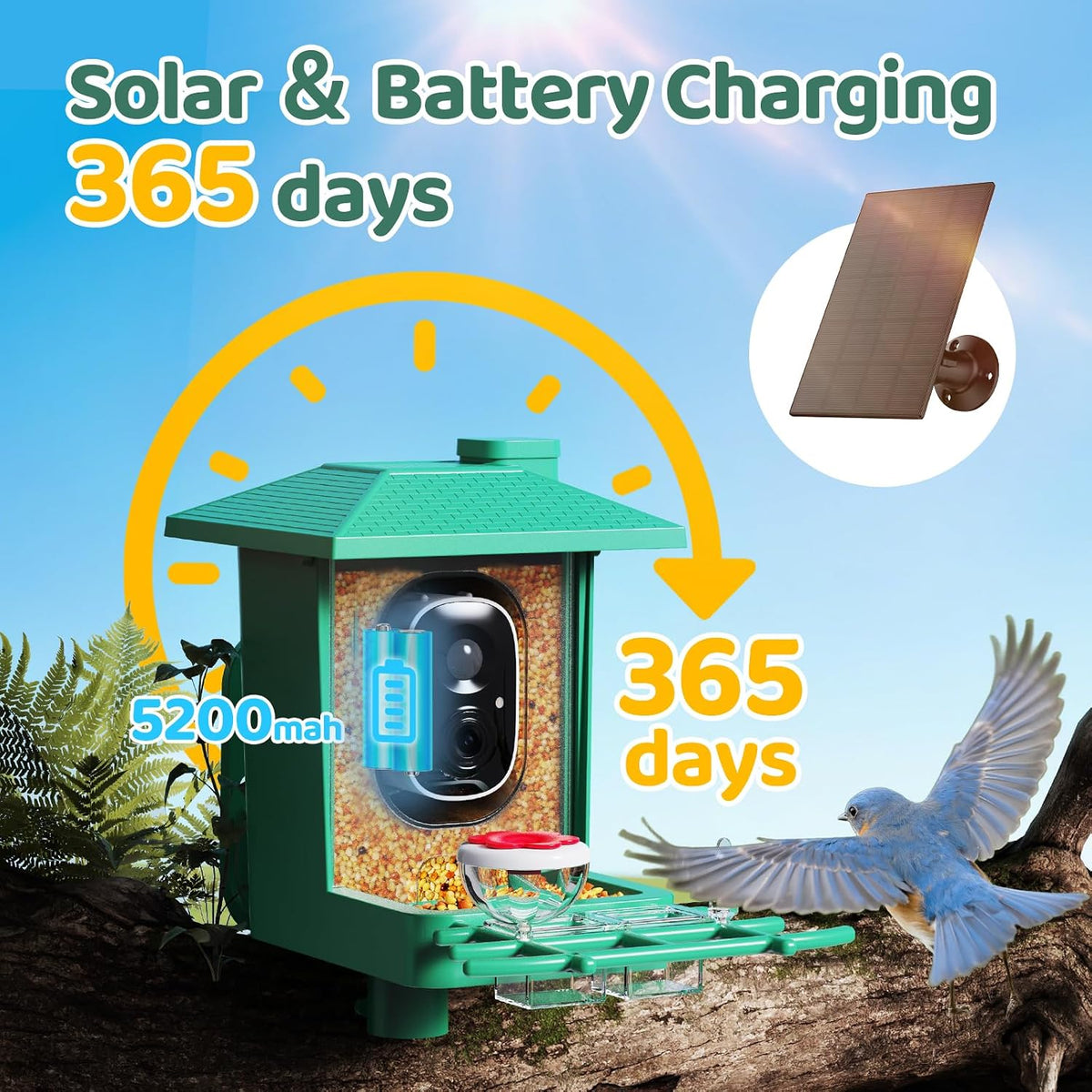 Bird Feeder with Camera Outdoor Solar: Smart Birdfeeder with AI Recognition - 2K HD Live Stream Video Camera for Outside Wild Birds Garden Decor - Bird Lover Gifts - Image 8