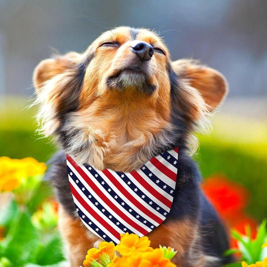 Adjustable triangle holiday pet scarf being tied on a small puppy