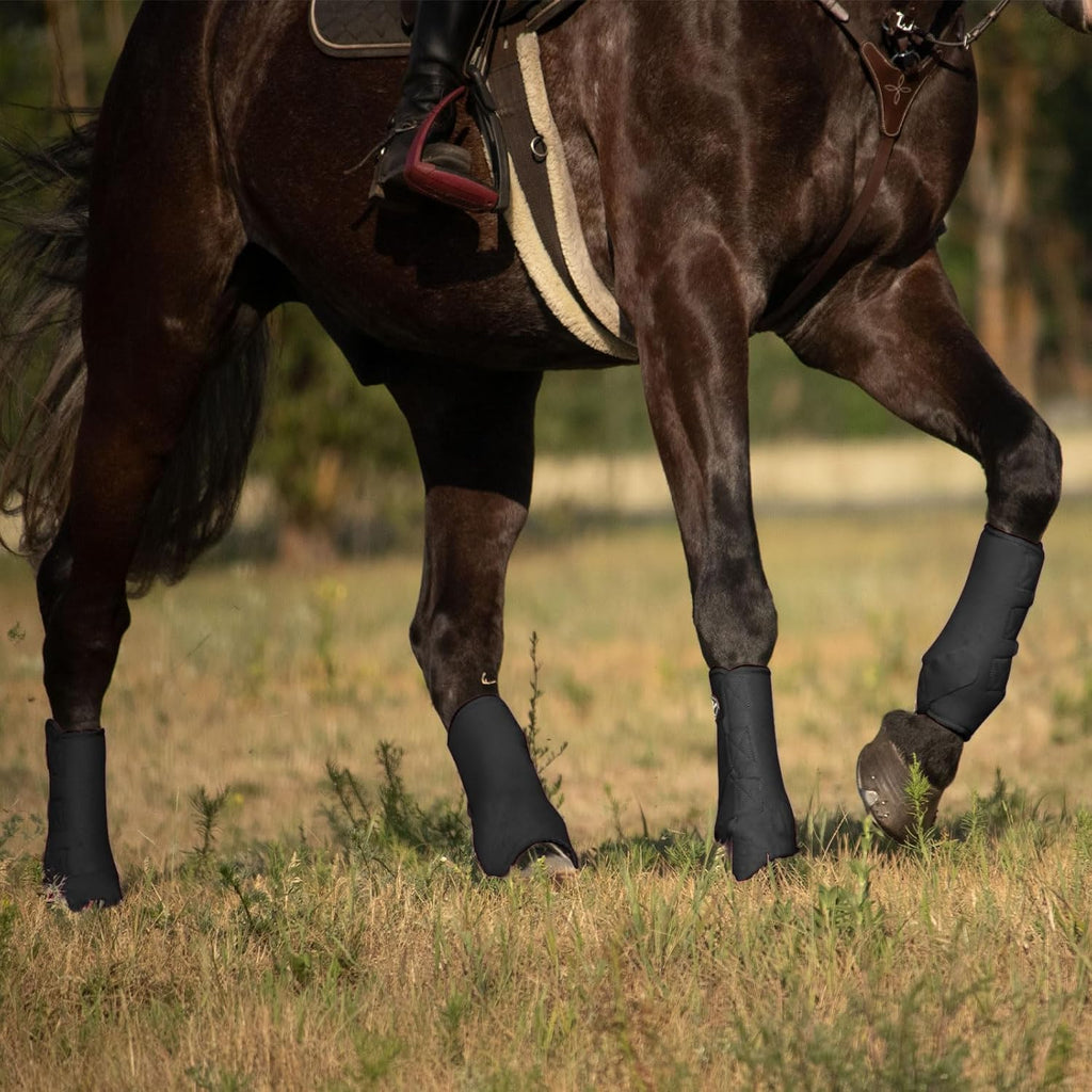 Harrison Howard horse sport medicine boots in piano black showcasing the shock absorbent protective padding.