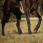 Harrison Howard horse sport medicine boots in piano black showcasing the shock absorbent protective padding.