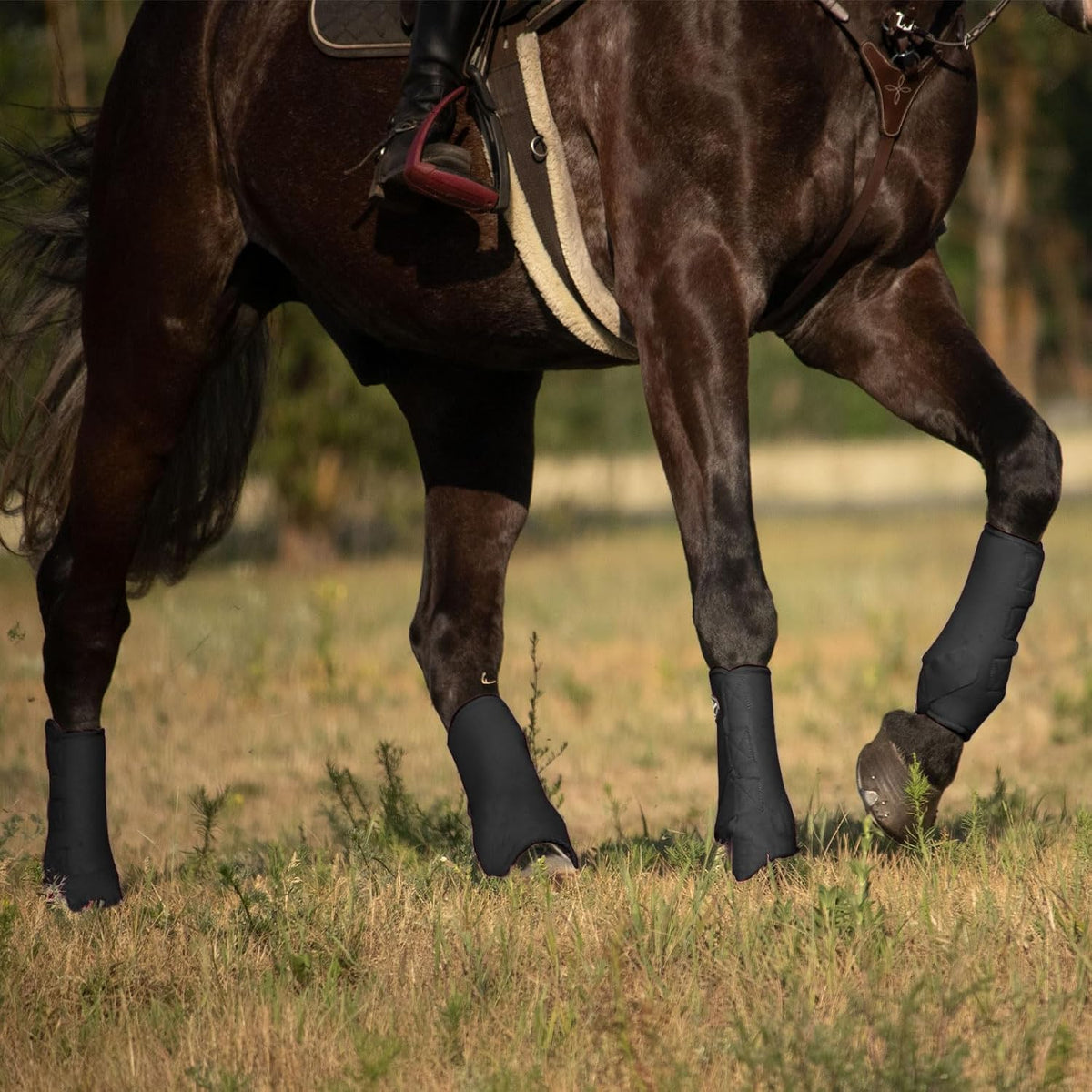 Harrison Howard horse sport medicine boots in piano black showcasing the shock absorbent protective padding.