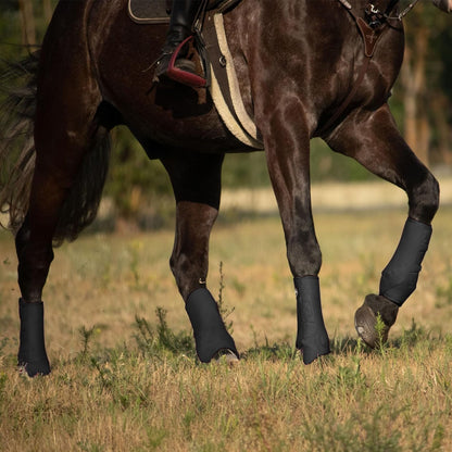 Harrison Howard horse sport medicine boots in piano black showcasing the shock absorbent protective padding.