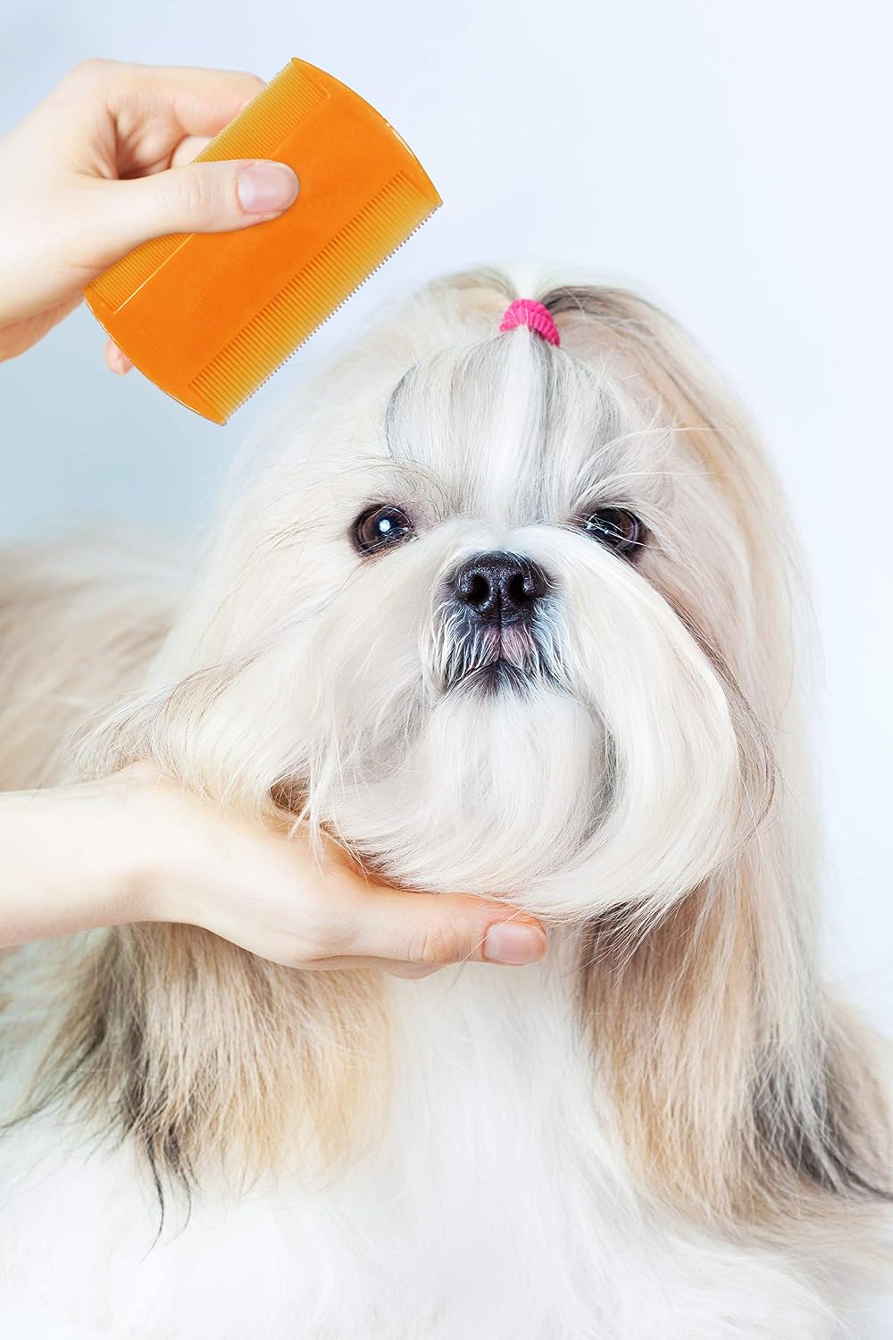 Close up of double sided fine teeth on Pets First pet comb