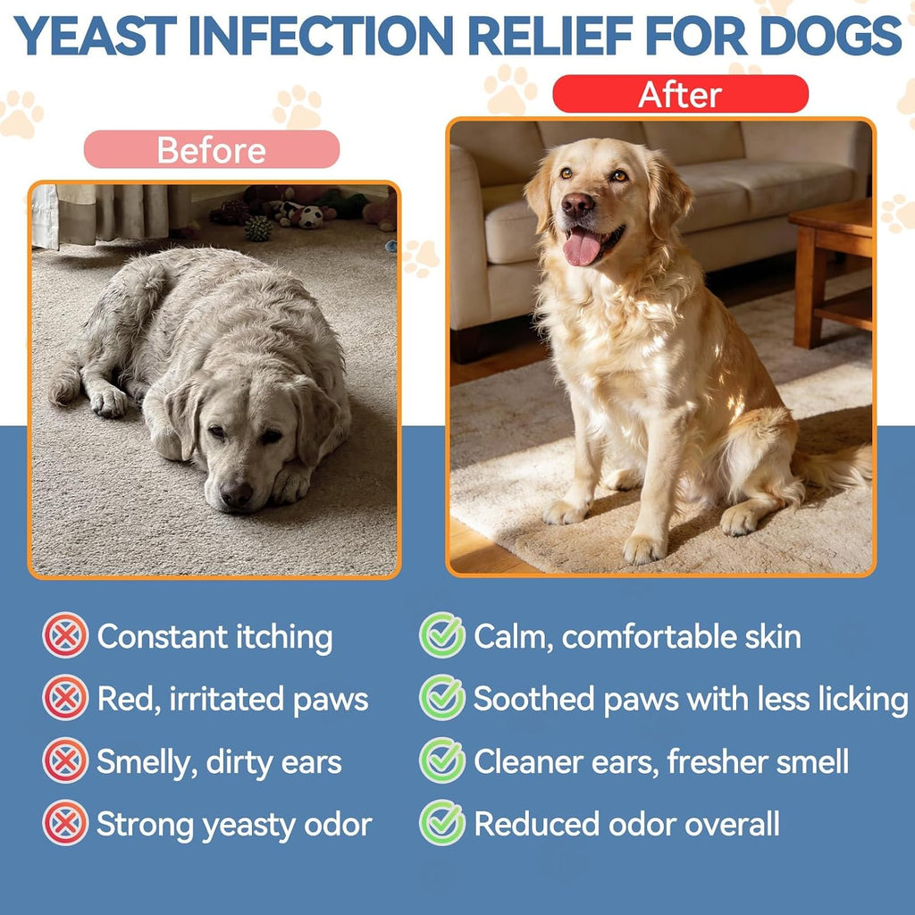 USA imported authentic natural pet care supplement for healthy dog skin