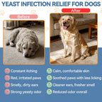 USA imported authentic natural pet care supplement for healthy dog skin