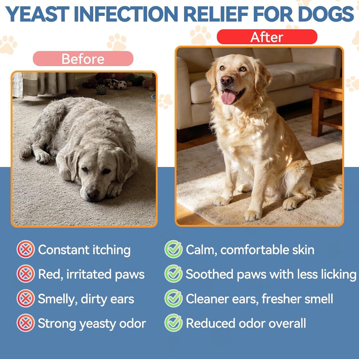 USA imported authentic natural pet care supplement for healthy dog skin