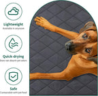 Top view of Hombys 35 inch by 22 inch dog mat