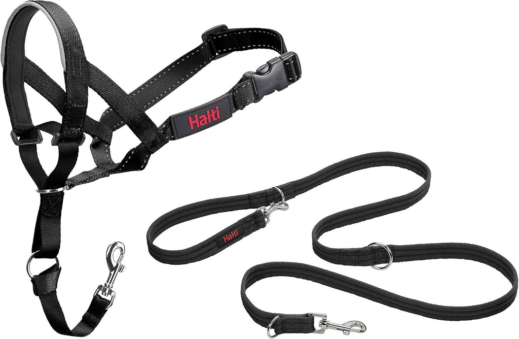 Halti headcollar size 4 and training leash set front view