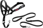 Halti headcollar size 4 and training leash set front view