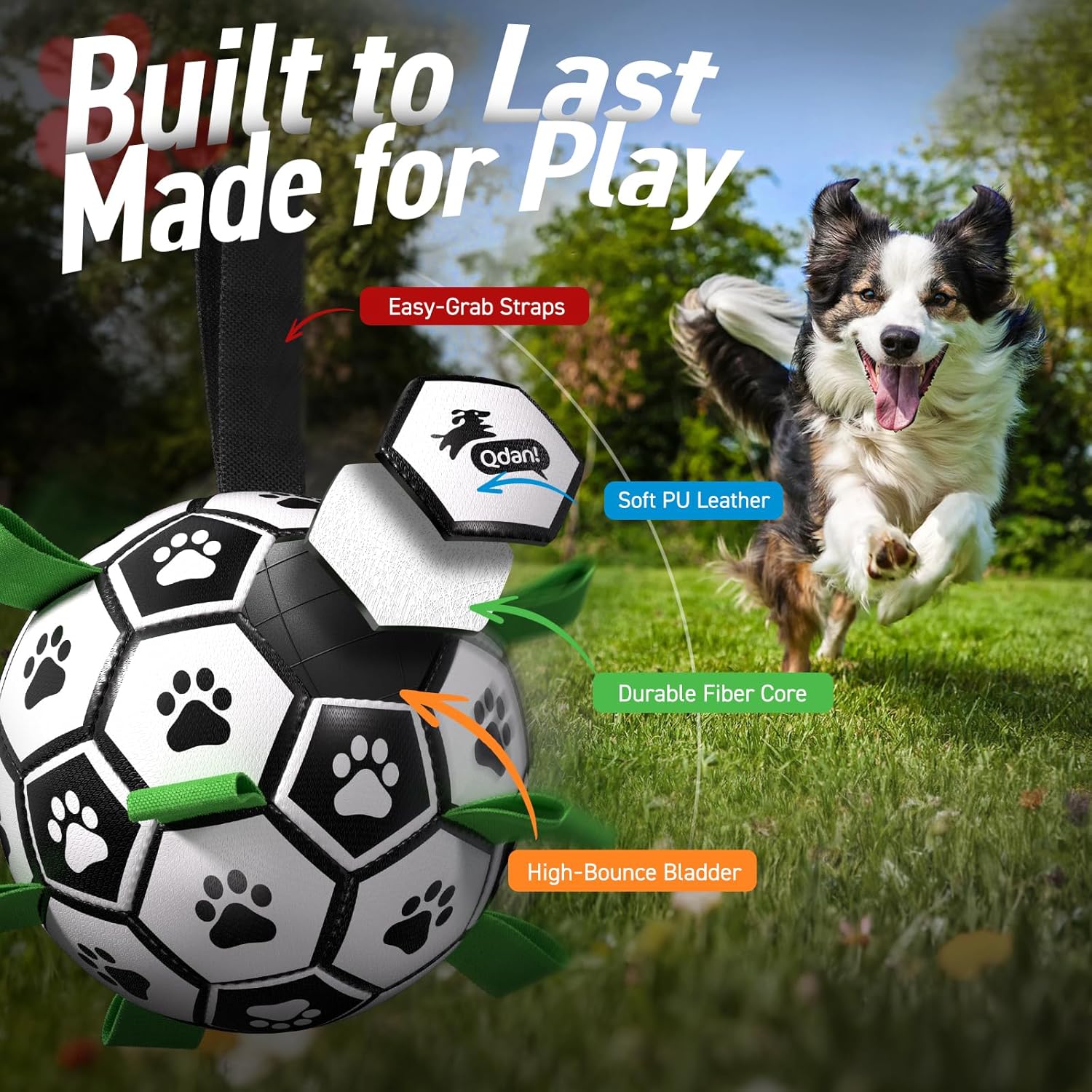 Dog playing with Qdan 6 inch soccer ball in park