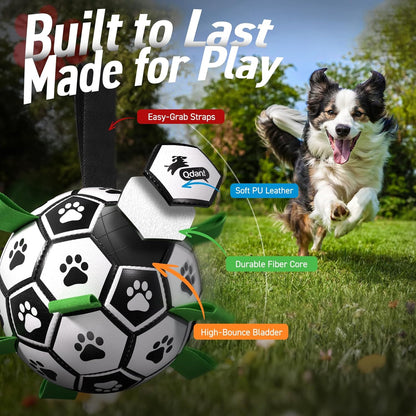 Dog playing with Qdan 6 inch soccer ball in park