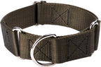 Country Brook Petz - HossFit Jr Wide Martingale Dog Collar - Training Collar with No Buckle - Service Dog Collar for All Pups - Vibrant, Colorful Collection (Royal Blue, Large) - Image 13