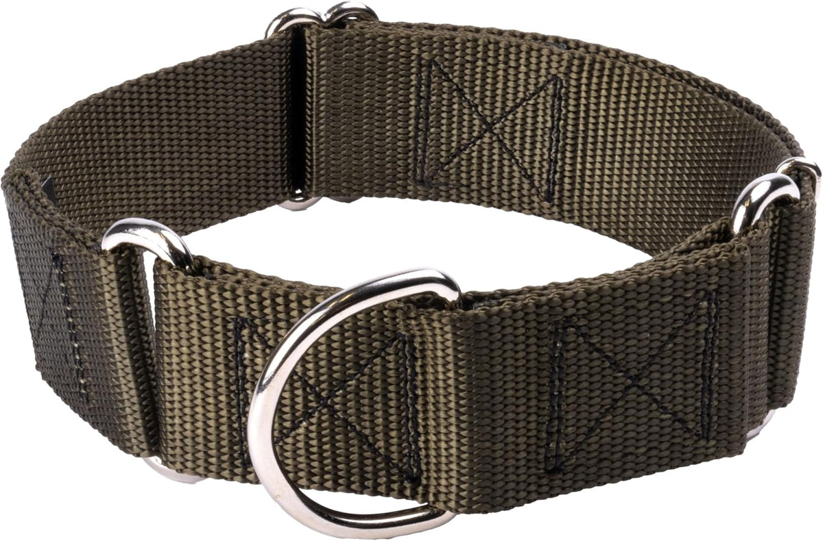 Country Brook Petz - HossFit Jr Wide Martingale Dog Collar - Training Collar with No Buckle - Service Dog Collar for All Pups - Vibrant, Colorful Collection (Royal Blue, Large) - Image 13