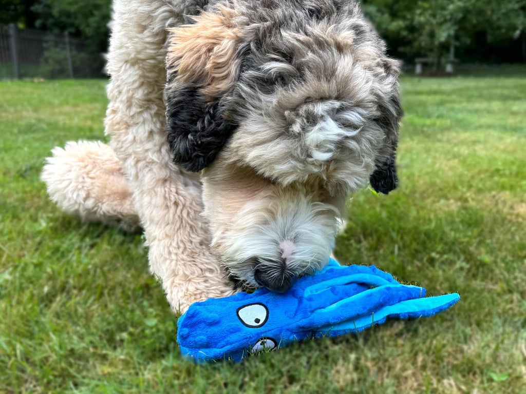 Octopus Dog Toy, No Stuffing Plush Squeaky Crinkle Toy to Keep Dogs Busy, Interactive Chew Toy for Puppies Small Medium Large Dogs, Blue, Tail Town - Image 9