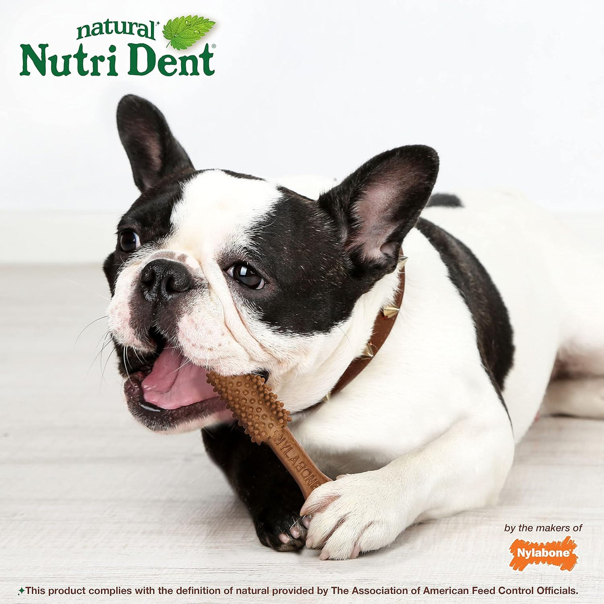 Nylabone Nutri Dent medium forty count bag displaying limited ingredients label
