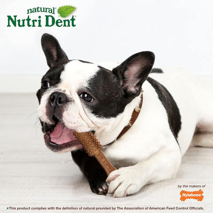 Nylabone Nutri Dent medium forty count bag displaying limited ingredients label