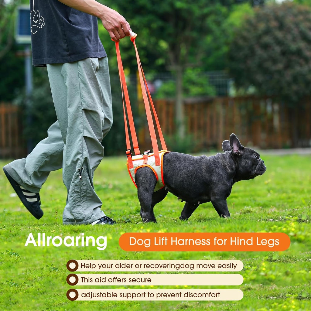 Padded handle detail on dog mobility sling
