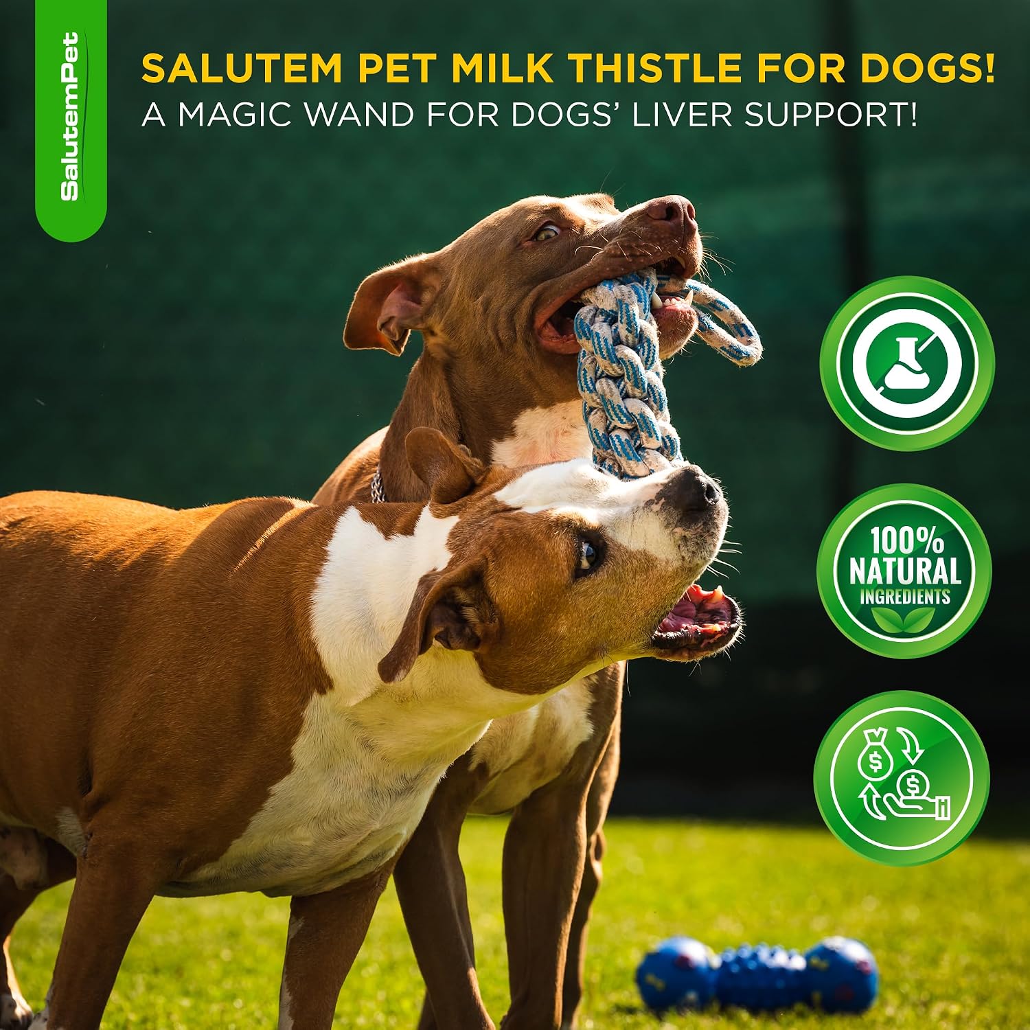 Nutritional label facts on SalutemPet milk thistle for dogs bottle.