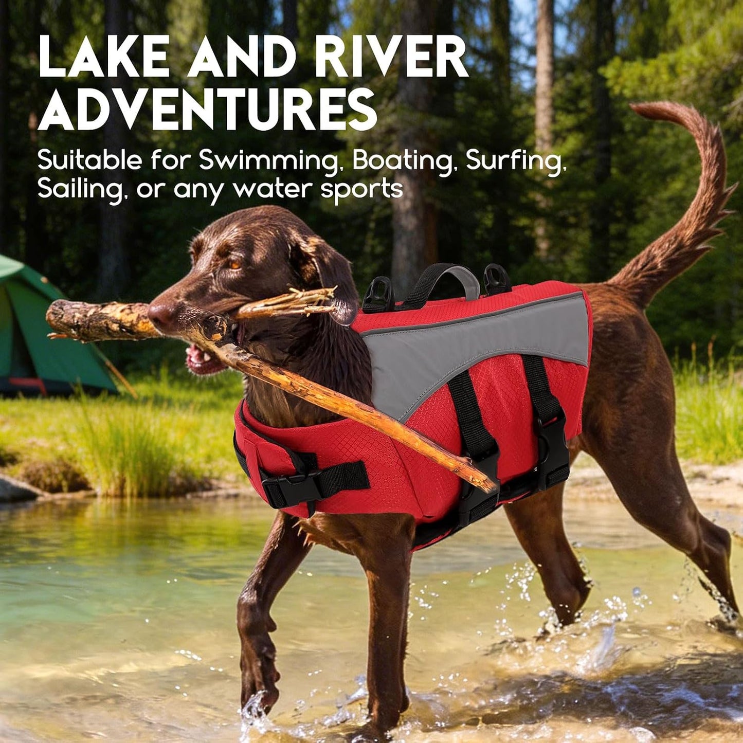 ASENKU authentic USA imported dog life jacket packaging details