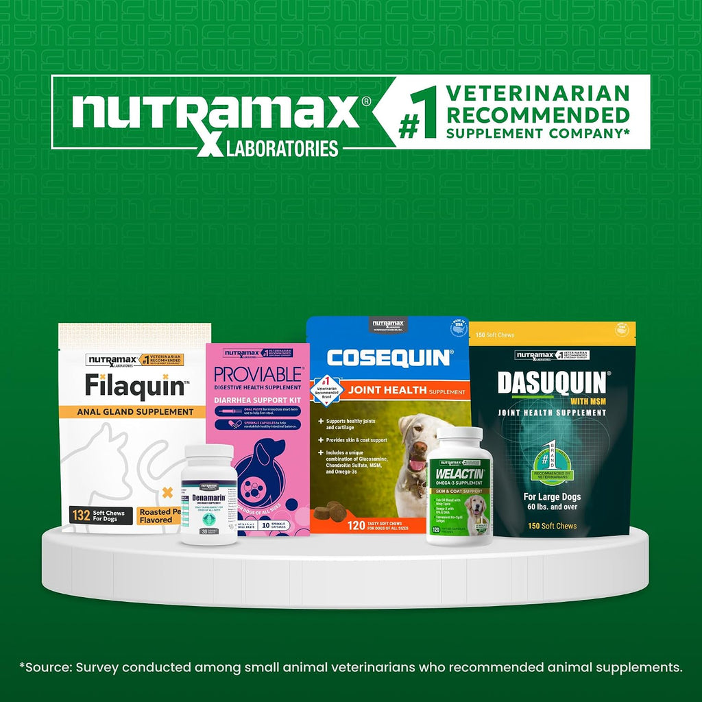 Nutramax Welactin authentic skin coat and joint care dog chews open package view.