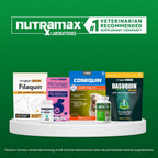 Nutramax Welactin authentic skin coat and joint care dog chews open package view.