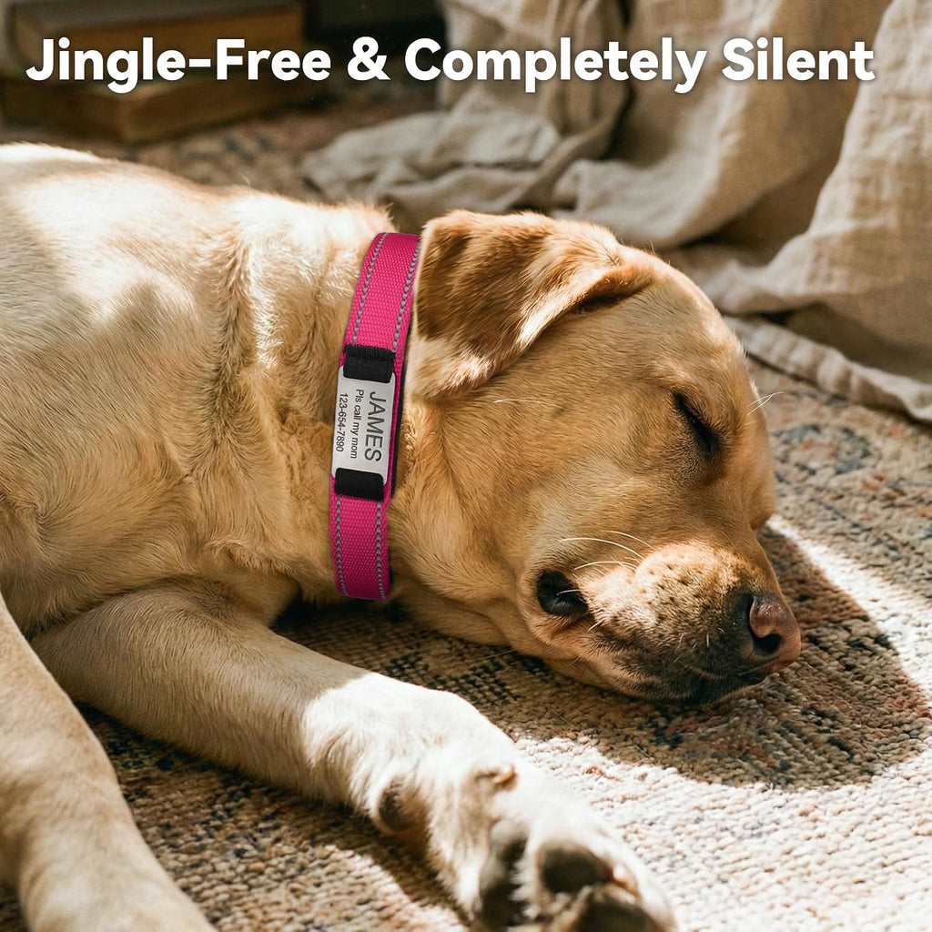 Side profile of hot pink custom dog collar on a medium dog